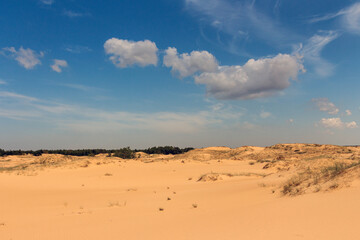 View of the Oleshkiv sands - the Ukrainian desert near the city of Kherson. Ukraine