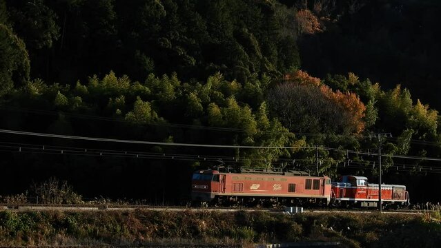 夕陽を浴びながらEF510形電気機関車に甲種輸送される衣浦臨海鉄道KE65形ディーゼル機関車