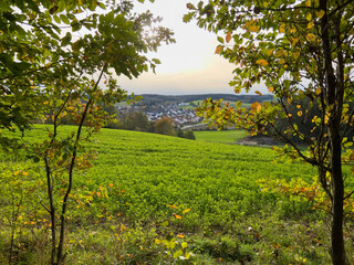 Lonely Bavarian Autumn forest path to reload batteries and reduce stress 