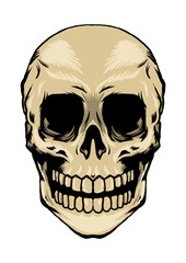 skull character design