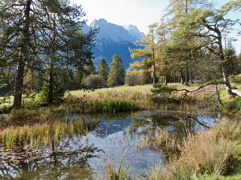 Teich am Kramerplateauweg bei Garmisch mit Blick auf die bayerischen Berge