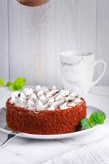 Perfect homemade tiramisu cake sprinkled with cocoa powder. Close up. Copy space