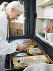 Beekeeper woman, honey production and honeycomb in factory, apiary workshop or focus for small...