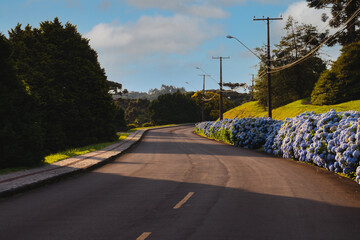 Street in the District of Faxinal do Ceu, in state of Parana, south of Brazil