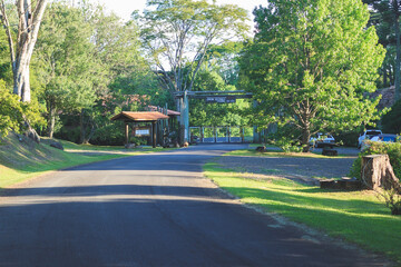 Nature Park in the District of Faxinal do Ceu, in state of Parana, south of Brazil
