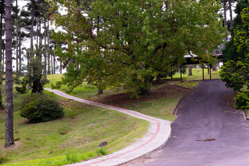 District of Faxinal do Ceu, in state of Parana, south of Brazil