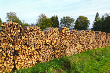Bundles of firewood