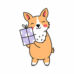 Cute corgi dog holds gift in hands. Postcard decor element.