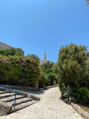 stone path in the park