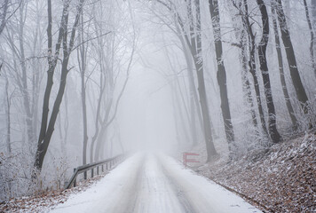 Winter road covered with snow and forest in the fog