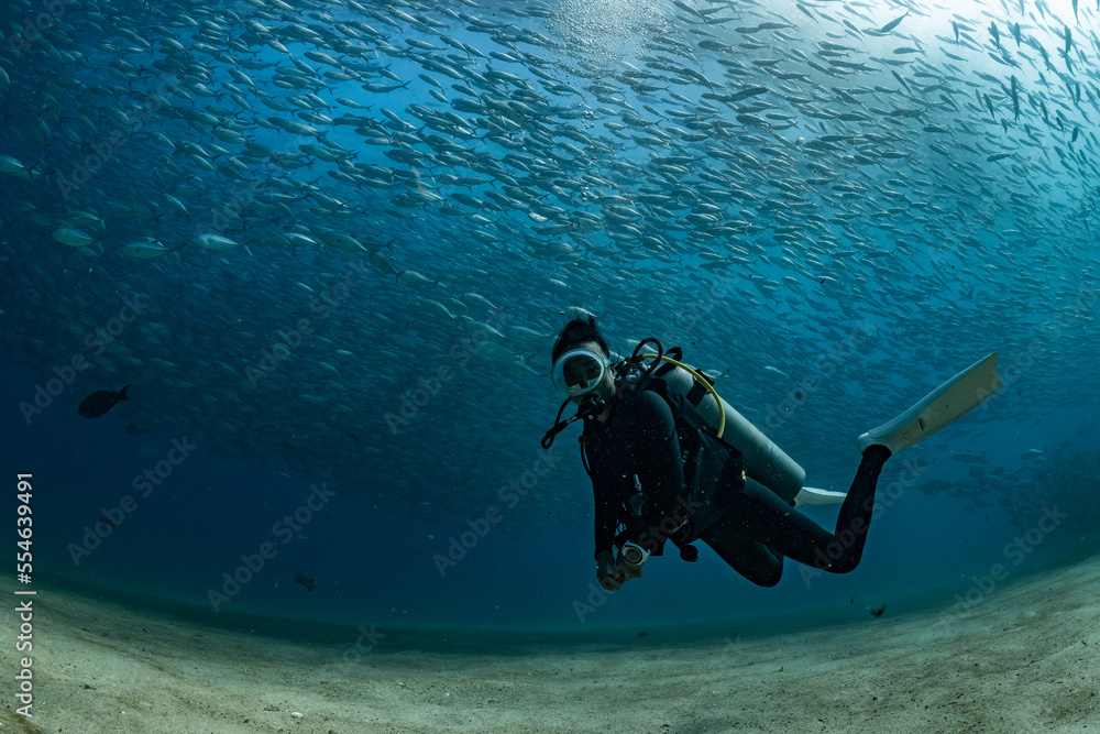 Wall mural scuba diver with Cabo Pulmo jack tornado under sunny sky