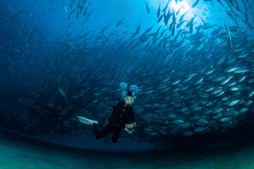 scuba diver with Cabo Pulmo jack tornado under sunny sky