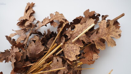 The badnjak veseljak is a tree branch or entire tree that is central to Serbian Christmas celebrations. It is placed on a fire on Christmas Eve and its branches are later brought home by worshipers.