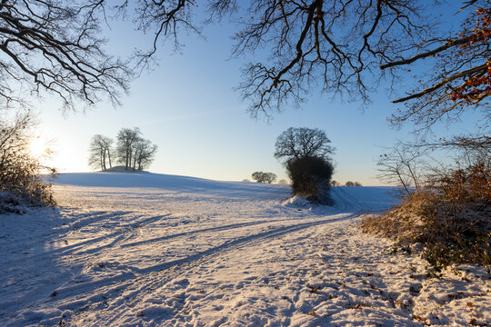 Schneebedeckte Feldlandschaft mit Hügeln im Winter.