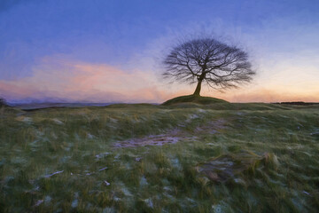Digital oil painting of a lone tree on Grindon Moor, Staffordshire.