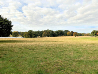 A view of the Cheshire Countryside near Knutsford