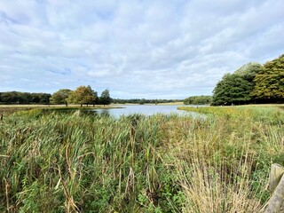 A view of the Cheshire Countryside near Knutsford