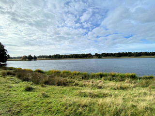 A view of the Cheshire Countryside near Knutsford