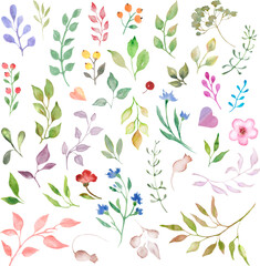 Watercolor set with abstract leaves, branches, hearts, flowers isolated on white background. For your design of fabrics, wrapping papers, wallpapers, cards, posters. Hand drawn illustration.

