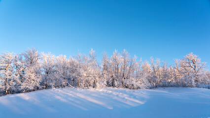 A Winters Wonderland with Heavy Snow and Frost on trees  in rural mountain scenes