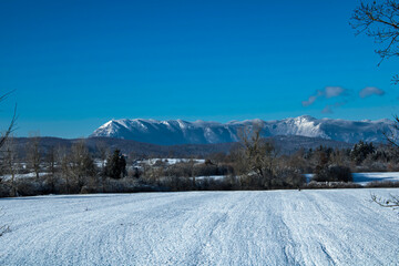 Fototapeta na wymiar winter landscape with the Nanos plateau in the background covered with snow