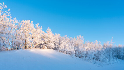 A Winters Wonderland with Heavy Snow and Frost on trees  in rural mountain scenes