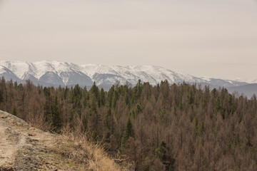 A country road in the mountains.Gorny Altai, Russia