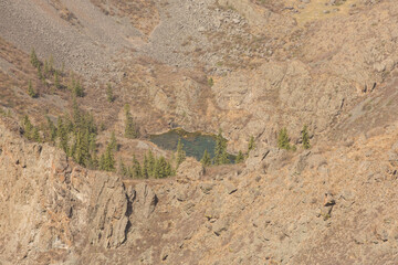 A country road in the mountains.Gorny Altai, Russia