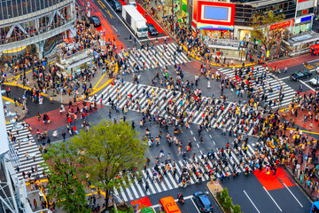 Shibuya, Tokyo, Japan crosswalk and cityscape. - 554656237