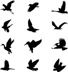 Flying birds silhouettes collection for creating artwork compositions