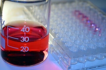 Beaker with culture medium containing phenol red pH indicator