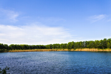 calm lake in the middle of a forest with a clear blue sky
