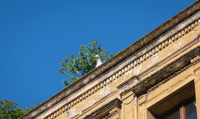 Seagull looking down from the roof of the old building.