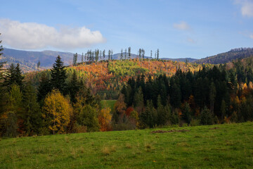 Jesień w górach, kolory jesieni w Beskidach, góry we Wiśle - obrazy, fototapety, plakaty