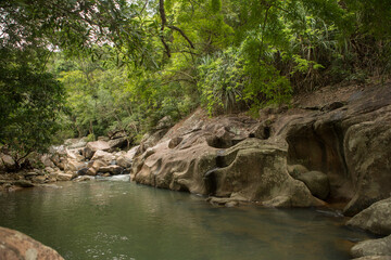 Naklejka na ściany i meble tourist route through the jungle in Vietnam
