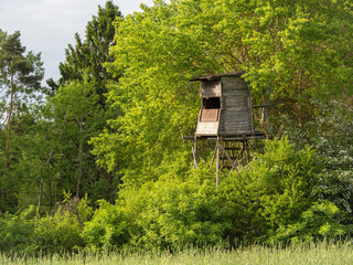 A hunter's seat is hidden at the edge of the forest