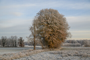 Frost im Münsterland