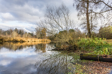 Fall Arboretum Inlet 5