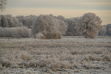 Frost im Münsterland