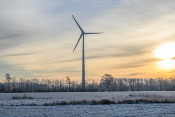 Frost im Münsterland