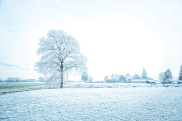 Winter Winterwonderland