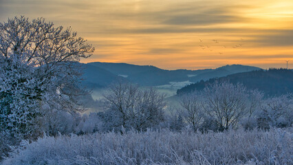 Winter auf dem Schutterlindenberg in Lahr im Schwarzwald