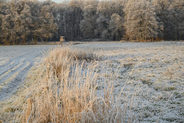 Frost im Münsterland