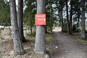 Wycinka drzew w Tatrach, Park Narodowy, las, TPN,  - obrazy, fototapety, plakaty