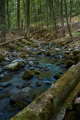 Der Elsbach im NSG Gangolfsberg in der Kernzone des Biosphärenreservat Rhön, Bayerischen Rhön, Landkreis Rhön-Grabfeld, Unterfranken, Bayern, Deutschland