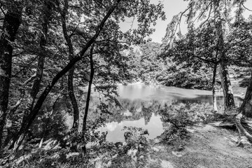 Blue Lake in Baia Sprie, Maramures, Romania; lake surrounded by trees in the forest in black and white
