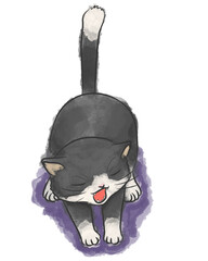 Cute Cat cartoon isolate  illustation 