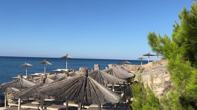 Blue sea and beach with parasols and pine trees at summer.