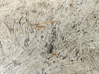 Background and texture of old stoned wall