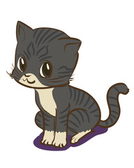 Cute Cat  vector hand draw